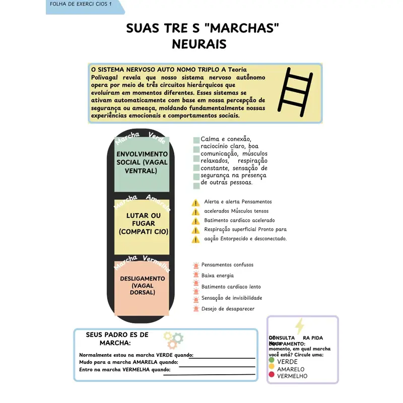 Guia da Teoria Polivagal — imagem secundária