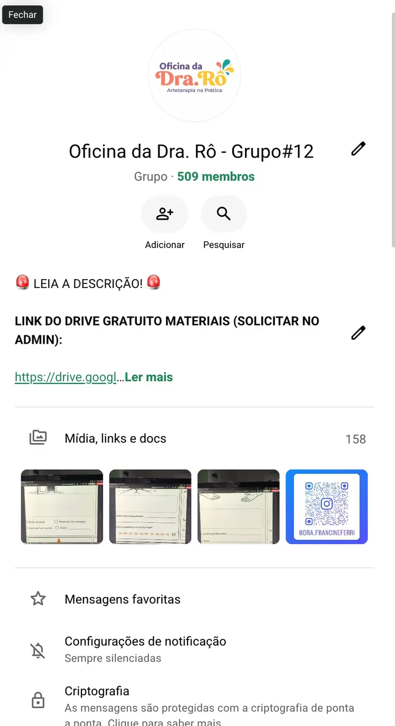 Print do grupo de profissionais no WhatsApp